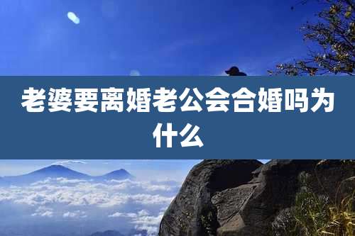 老婆要离婚老公会合婚吗为什么