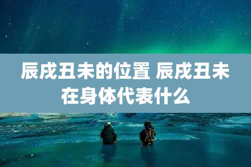 辰戌丑未的位置 辰戌丑未在身体代表什么