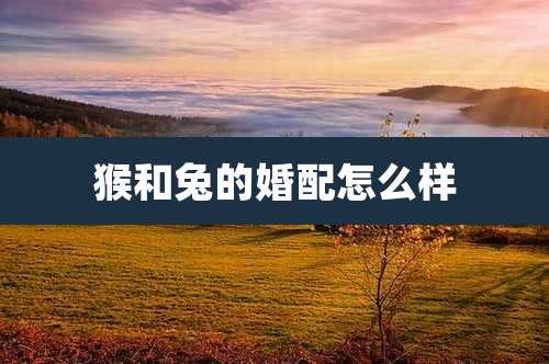 猴和兔的婚配怎么样