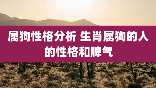 属狗性格分析 生肖属狗的人的性格和脾气