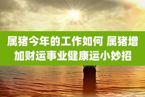 属猪今年的工作如何 属猪增加财运事业健康运小妙招