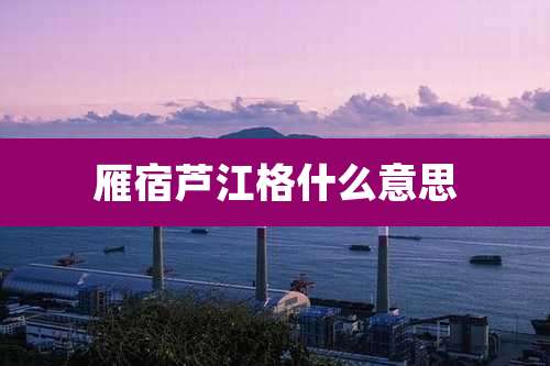 雁宿芦江格什么意思