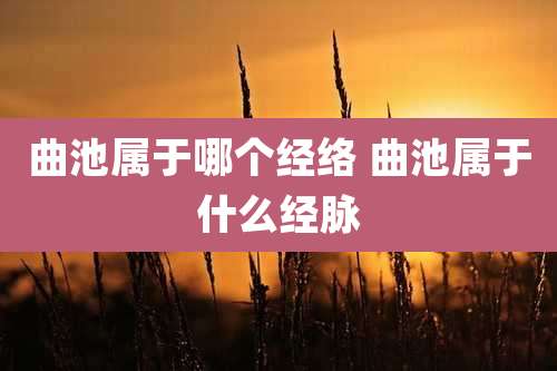 曲池属于哪个经络 曲池属于什么经脉