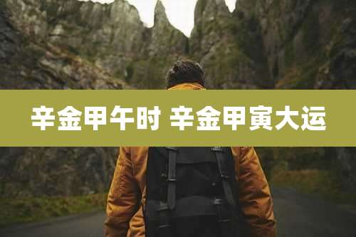 辛金甲午时 辛金甲寅大运