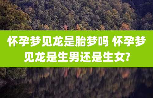 怀孕梦见龙是胎梦吗 怀孕梦见龙是生男还是生女?