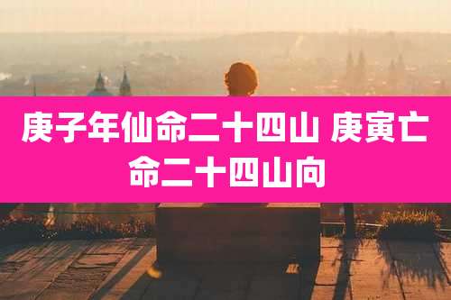 庚子年仙命二十四山 庚寅亡命二十四山向