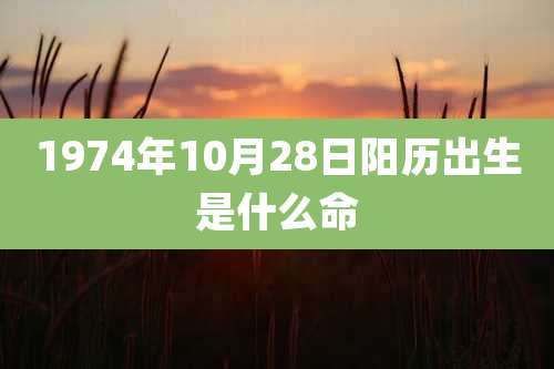 1974年10月28日阳历出生是什么命