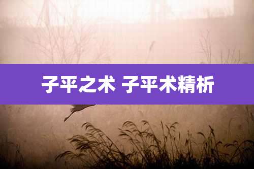 子平之术 子平术精析