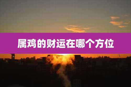 属鸡的财运在哪个方位