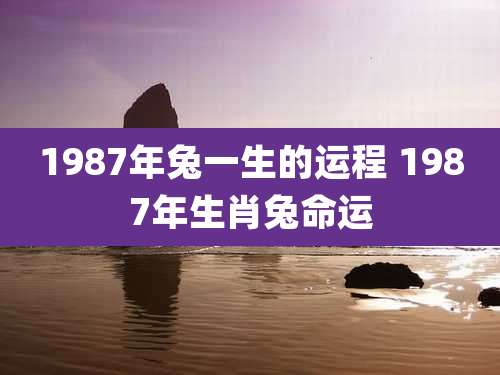 1987年兔一生的运程 1987年生肖兔命运