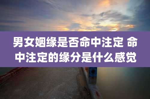 男女姻缘是否命中注定 命中注定的缘分是什么感觉