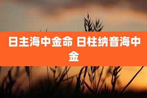 日主海中金命 日柱纳音海中金