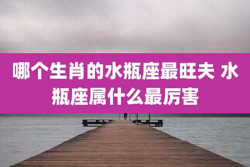哪个生肖的水瓶座最旺夫 水瓶座属什么最厉害