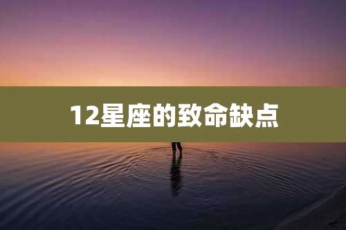 12星座的致命缺点