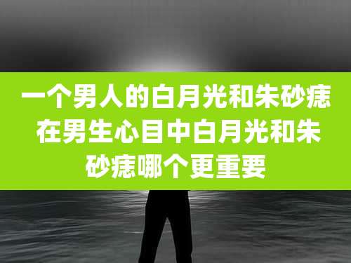 一个男人的白月光和朱砂痣 在男生心目中白月光和朱砂痣哪个更重要