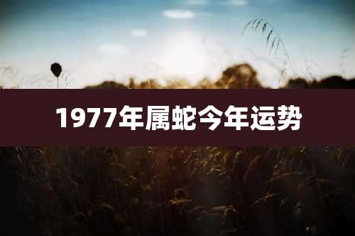 1977年属蛇今年运势