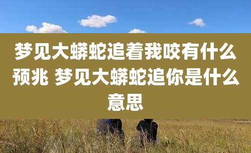 梦见大蟒蛇追着我咬有什么预兆 梦见大蟒蛇追你是什么意思