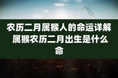 农历二月属猴人的命运详解 属猴农历二月出生是什么命