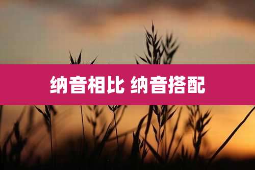 纳音相比 纳音搭配