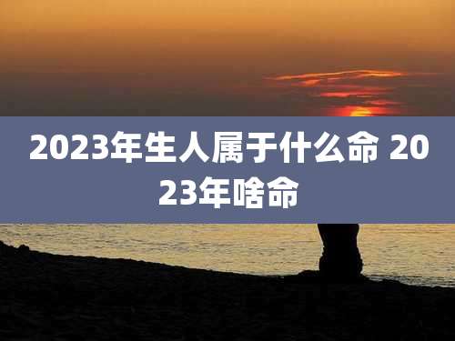 2023年生人属于什么命 2023年啥命