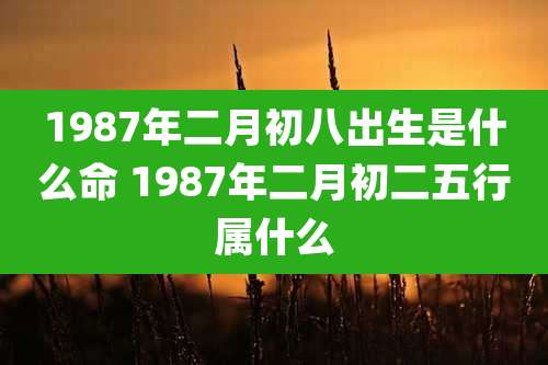 1987年二月初八出生是什么命 1987年二月初二五行属什么