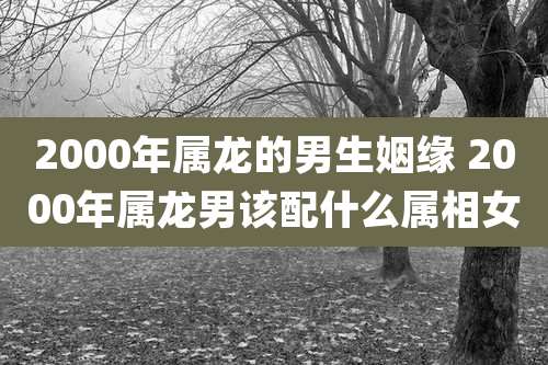 2000年属龙的男生姻缘 2000年属龙男该配什么属相女