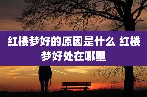 红楼梦好的原因是什么 红楼梦好处在哪里