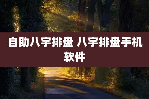 自助八字排盘 八字排盘手机软件