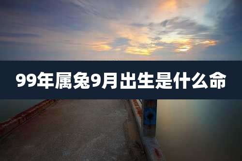 99年属兔9月出生是什么命