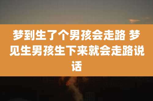 梦到生了个男孩会走路 梦见生男孩生下来就会走路说话