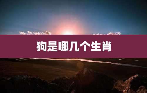狗是哪几个生肖