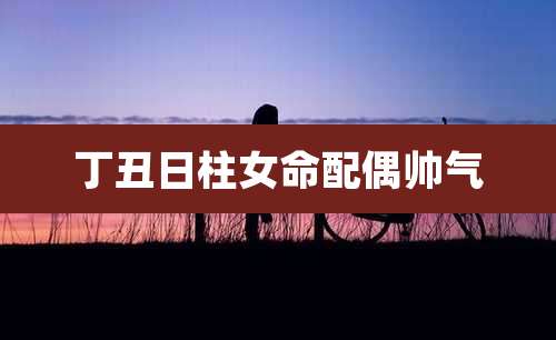 丁丑日柱女命配偶帅气