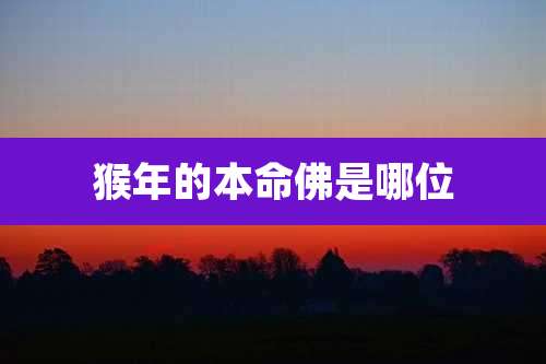 猴年的本命佛是哪位