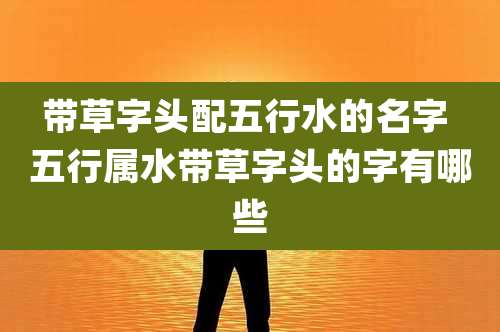 带草字头配五行水的名字 五行属水带草字头的字有哪些