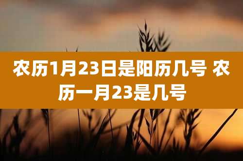 农历1月23日是阳历几号 农历一月23是几号