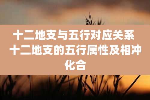 十二地支与五行对应关系 十二地支的五行属性及相冲化合