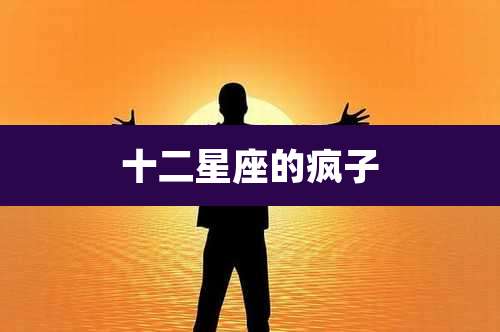 十二星座的疯子