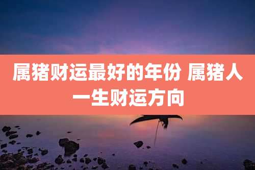 属猪财运最好的年份 属猪人一生财运方向