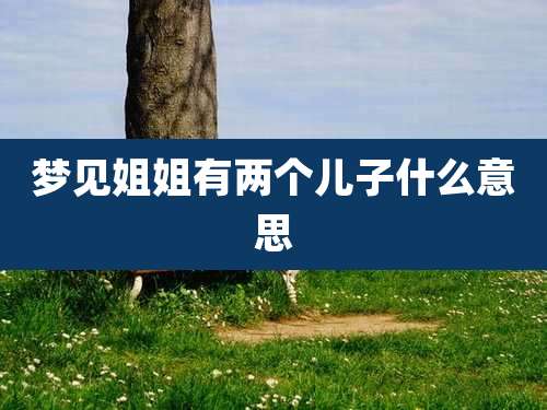 梦见姐姐有两个儿子什么意思