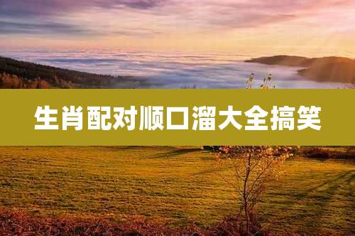 生肖配对顺口溜大全搞笑