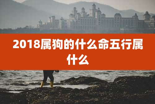 2018属狗的什么命五行属什么