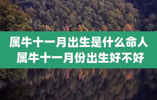 属牛十一月出生是什么命人 属牛十一月份出生好不好