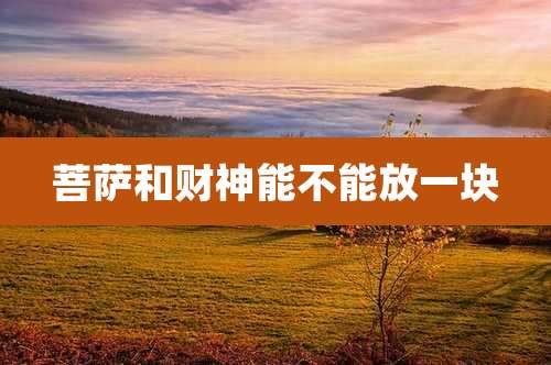 菩萨和财神能不能放一块