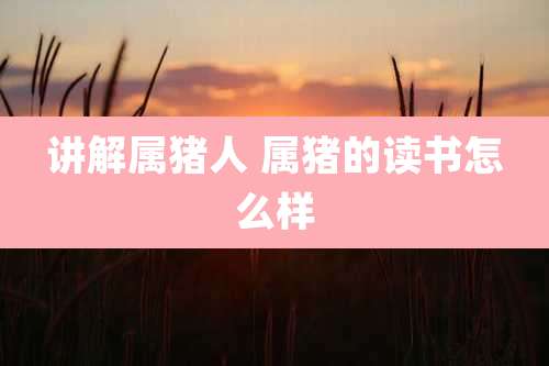 讲解属猪人 属猪的读书怎么样