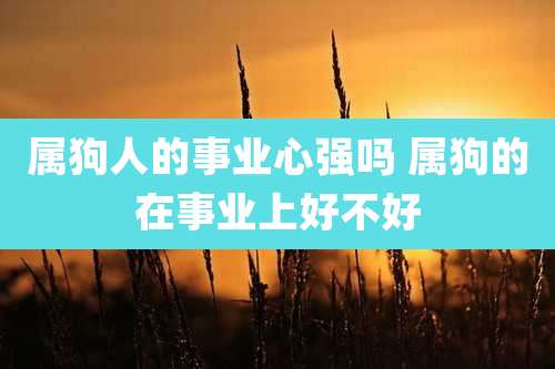 属狗人的事业心强吗 属狗的在事业上好不好