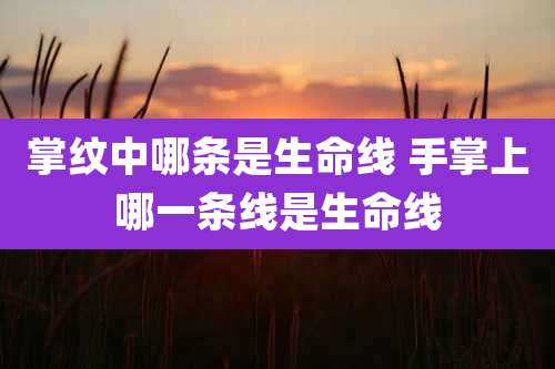 掌纹中哪条是生命线 手掌上哪一条线是生命线