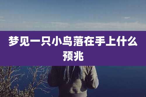 梦见一只小鸟落在手上什么预兆