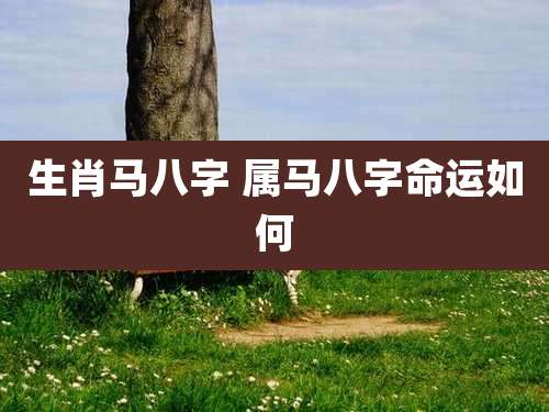 生肖马八字 属马八字命运如何