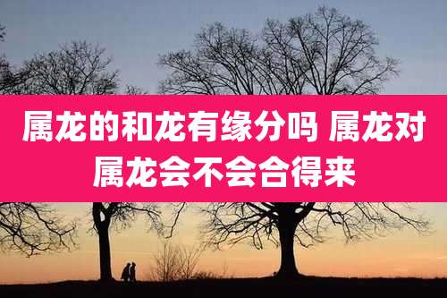 属龙的和龙有缘分吗 属龙对属龙会不会合得来