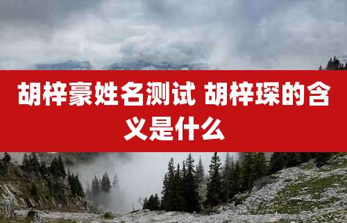 胡梓豪姓名测试 胡梓琛的含义是什么